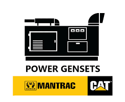 cat generator